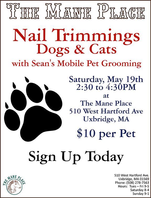 Dog & Cat Nail Trimming May 19, 2018 Uxbridge, MA