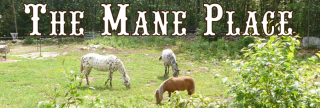 Feed Store, Tack, Supplies, Apparel - Uxbridge, MA - The Mane Place